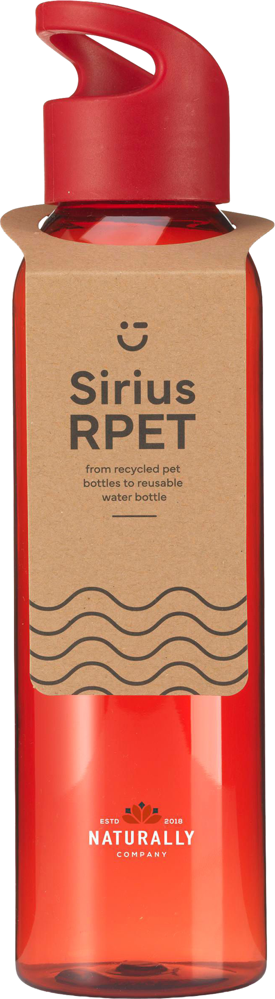 Picture of RPET drinking bottle (650 ml)