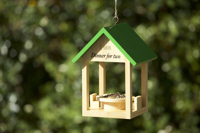 Rackpack bird feeder 263191_945 (Wood)