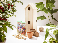 Rackpack wine gift box & bird house 269018_945 (Wood)