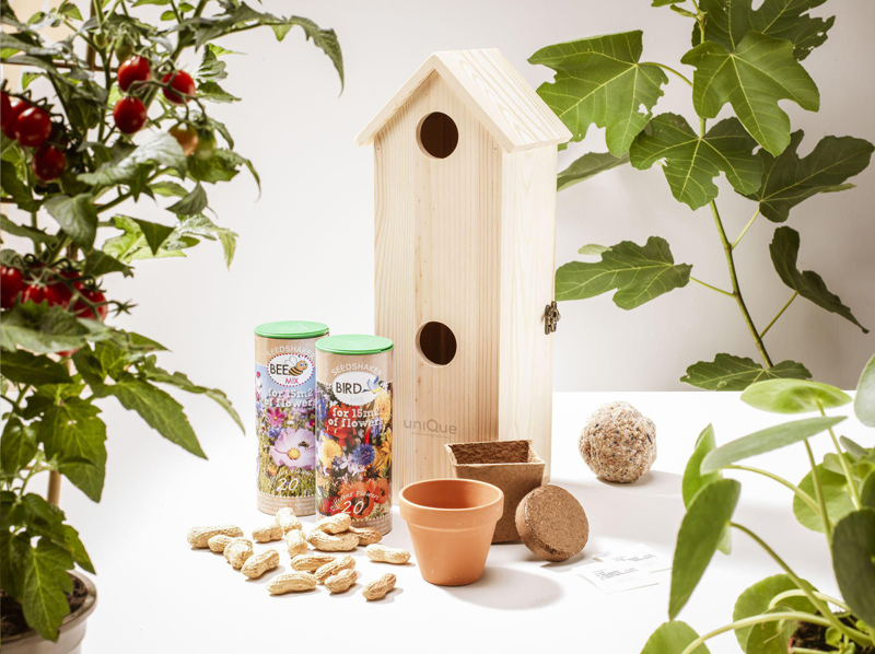 Rackpack wine gift box & bird house 269018_945 (Wood)