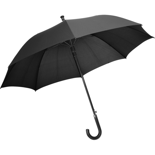 Charles Dickens® umbrella