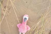 Plush flamingo 1041696_lif
