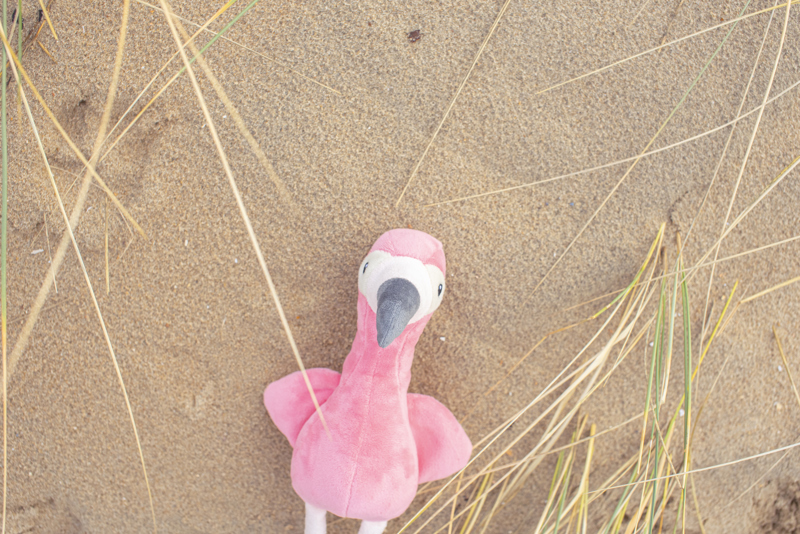 Plush flamingo 1041696_lif