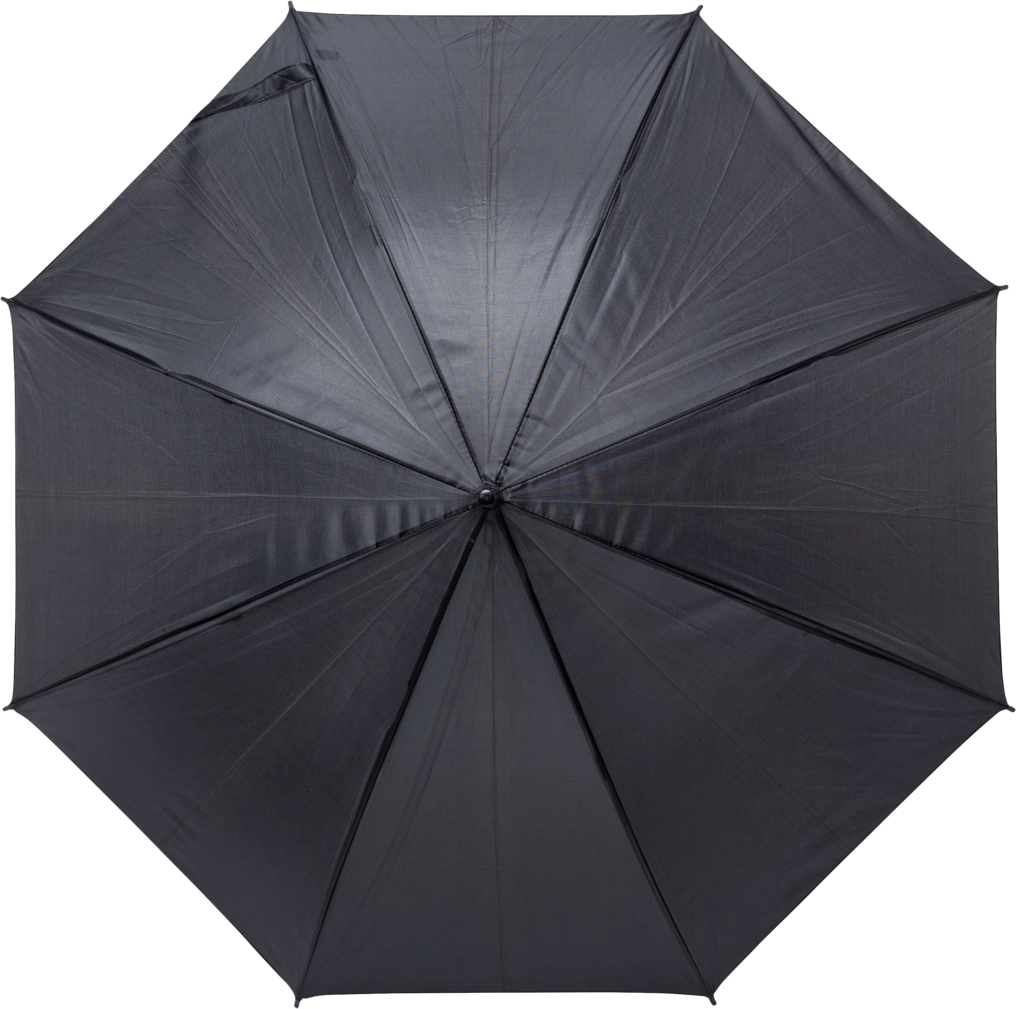 Picture of Umbrella