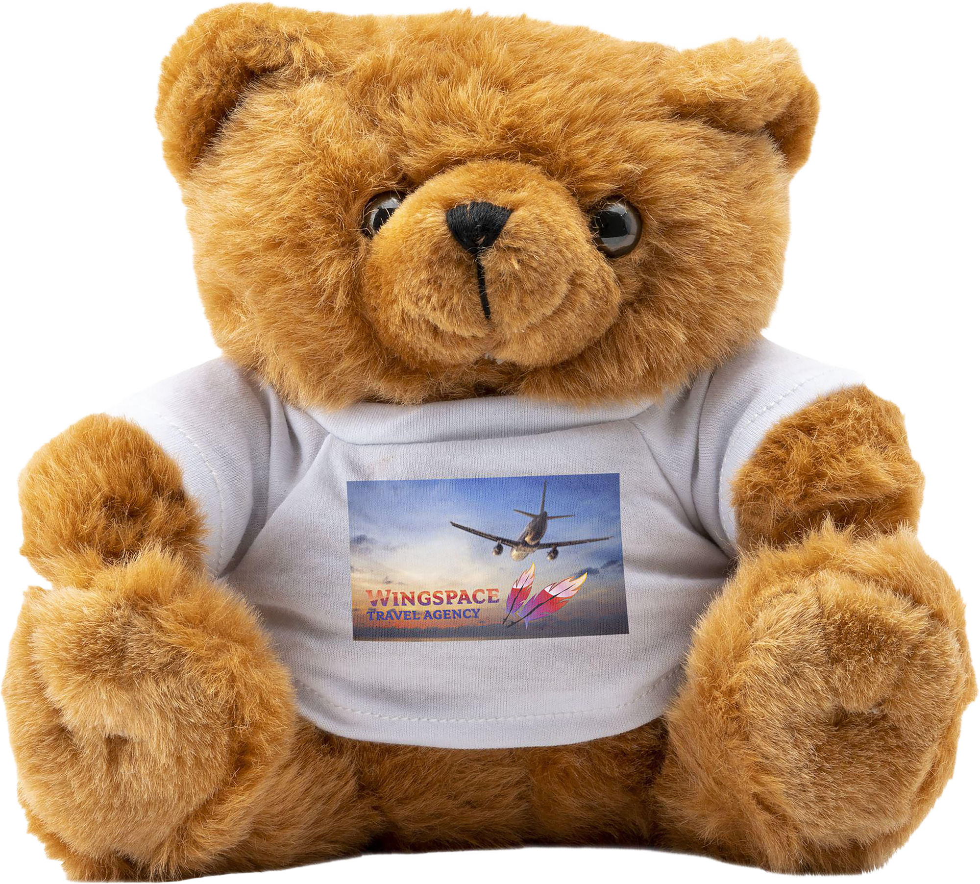 Picture of Big Browny bear soft toy