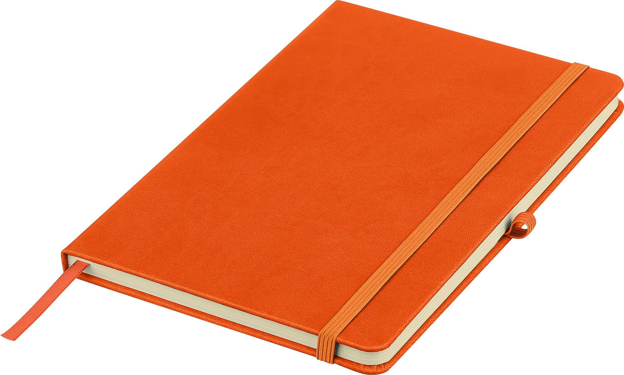 Picture of Recycled colour revealing notebook with pen loop  (approx. A5)