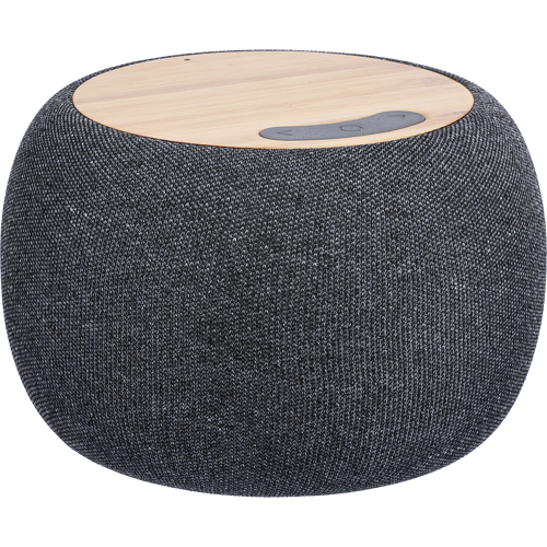 Recycled bamboo speaker