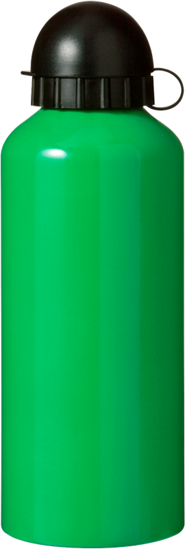 Aluminium drinking bottle (650ml) 7509_004 (Green)