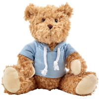 Plush teddy bear with hoodie 8182_018 (Light blue)