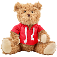 Plush teddy bear with hoodie 8182_008 (Red)