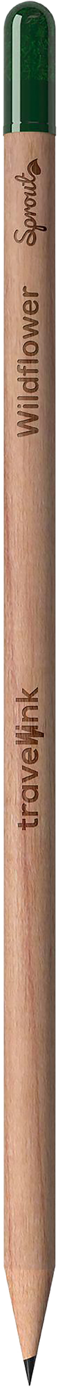Picture of Sproutworld sharpened pencil