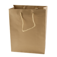 Matt paper bag (160 x 190 x 80mm) 201617_031 (Gold)
