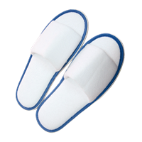 Pair of slippers X201701_005 (Blue)