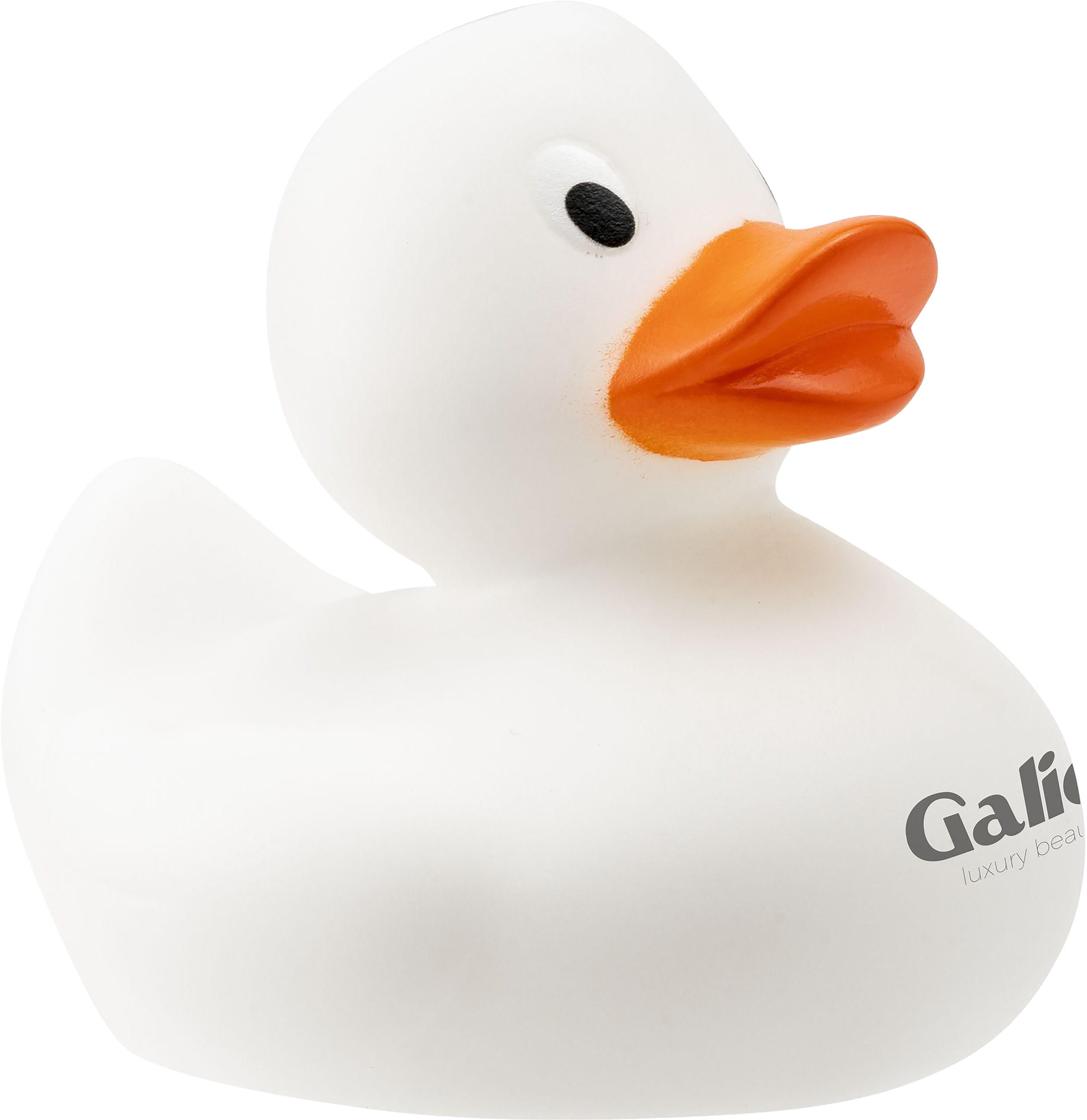 Picture of Rubber duck