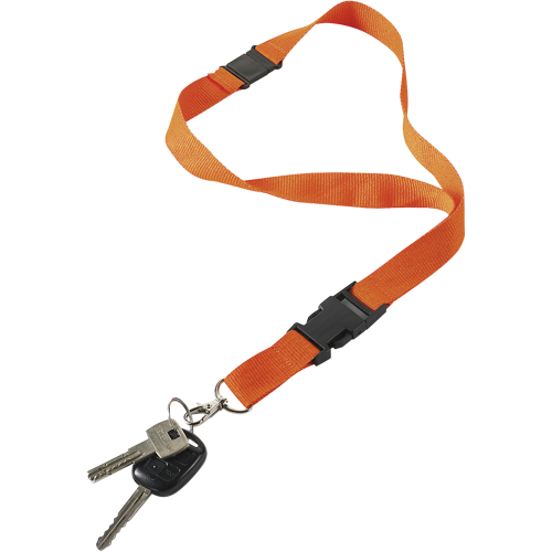 Lanyard with carabiner clip