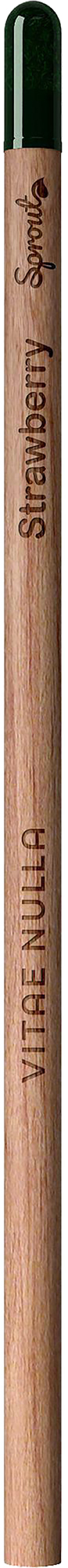 Picture of Sproutworld unsharpened pencil