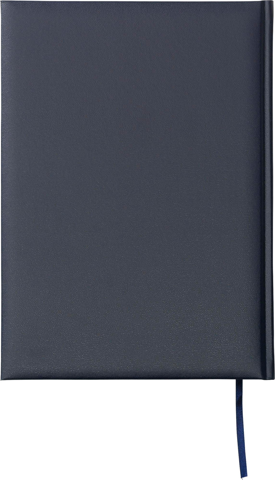 Picture of Diary in 4 languages (approx. A4)