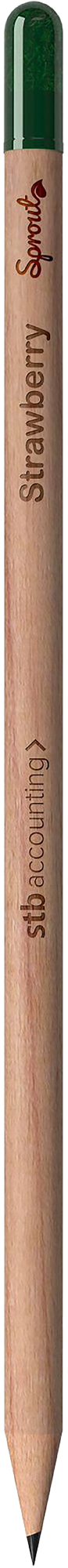 Picture of Sproutworld sharpened pencil