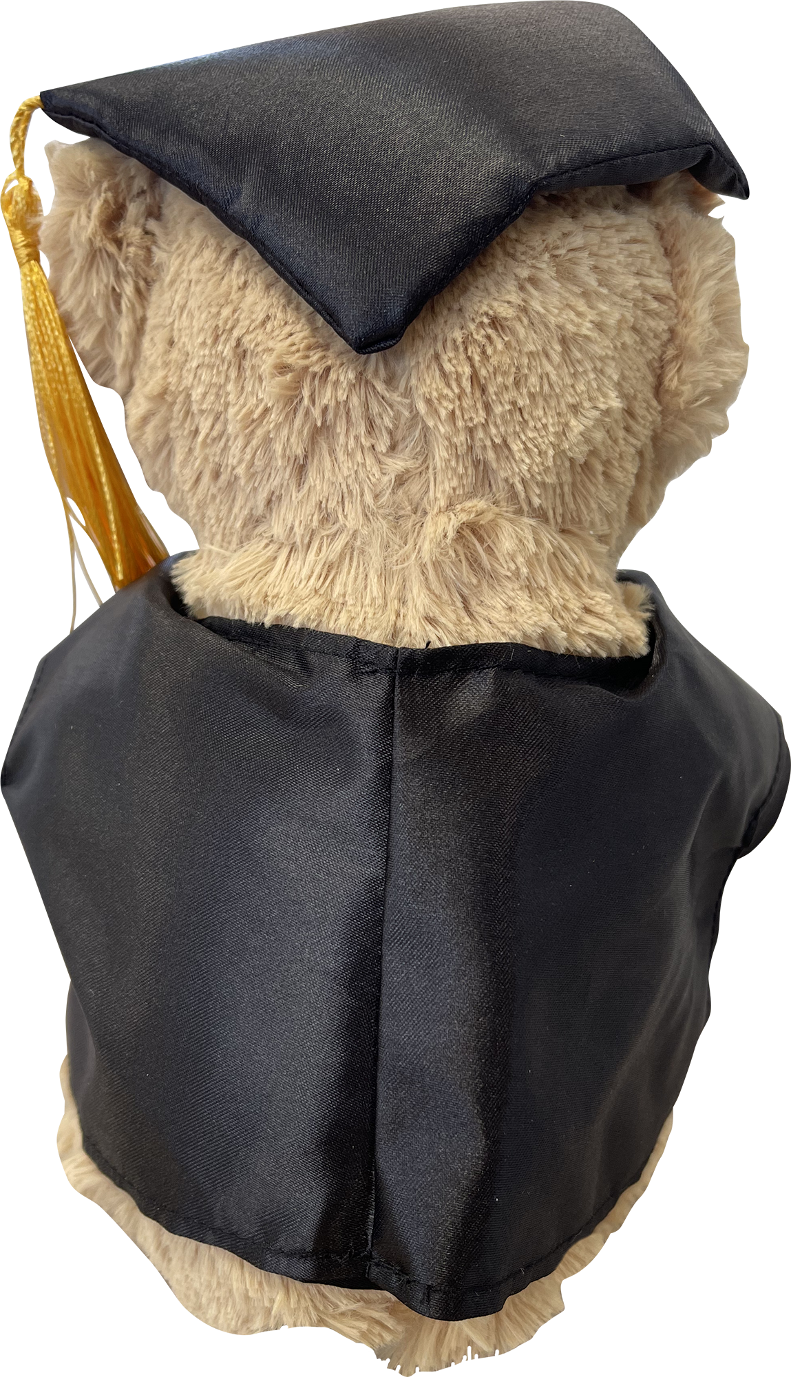 Picture of Plush graduation bear