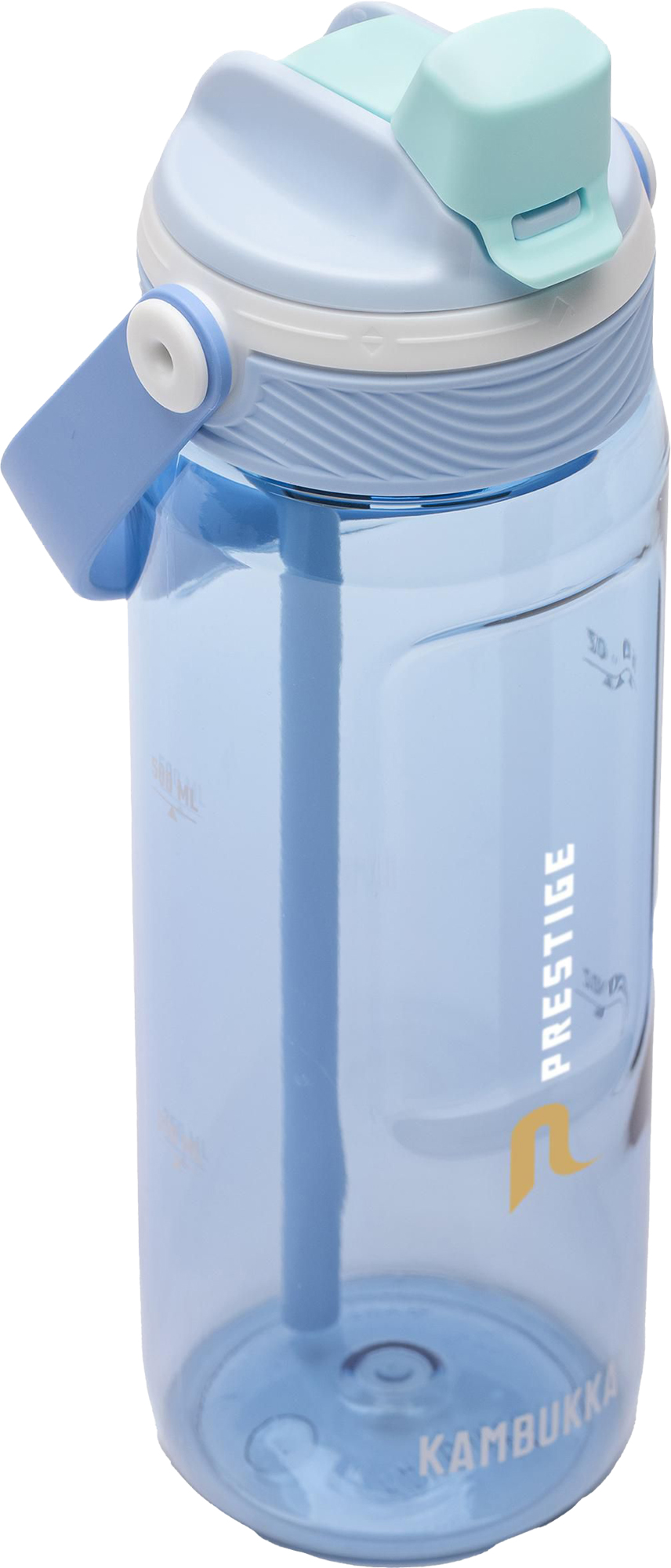 Picture of Kambukka® bottle (750ml) 