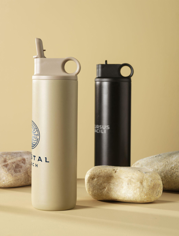 Recycled stainless steel bottle with straw (800ml) 262746_001 (Black)