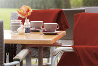 Fleece blanket (180 gsm/5.3oz) 265411_890 (Terra)