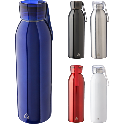 Stainless steel single-walled bottle (650ml)
