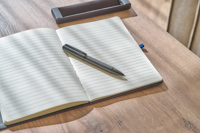 Metal and eco brass ballpen 1349349_001 (Black)