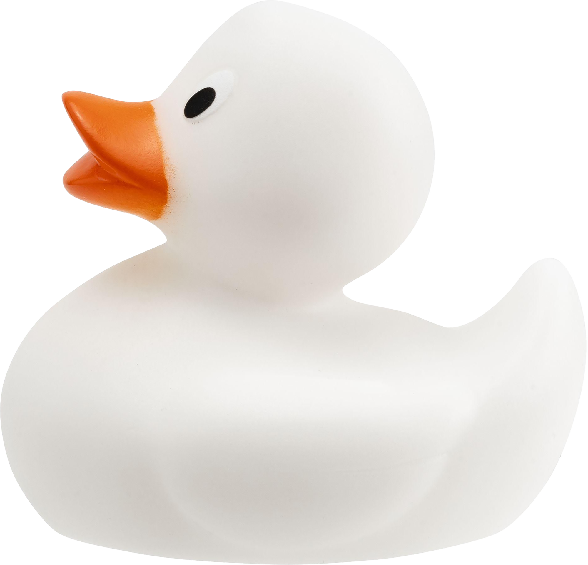 Picture of Rubber duck