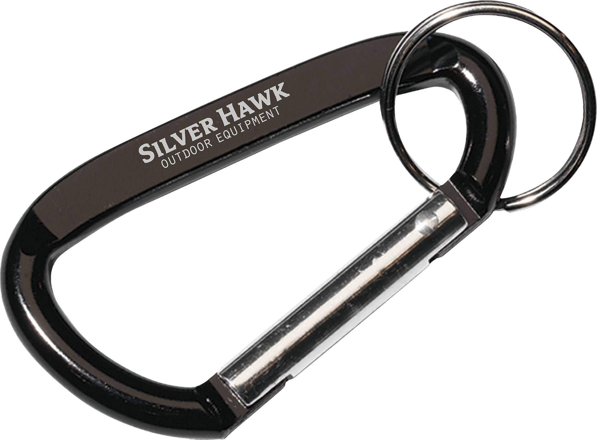 Picture of Carabiner keyring