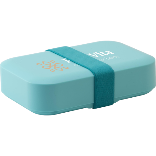 Day to Day lunch box