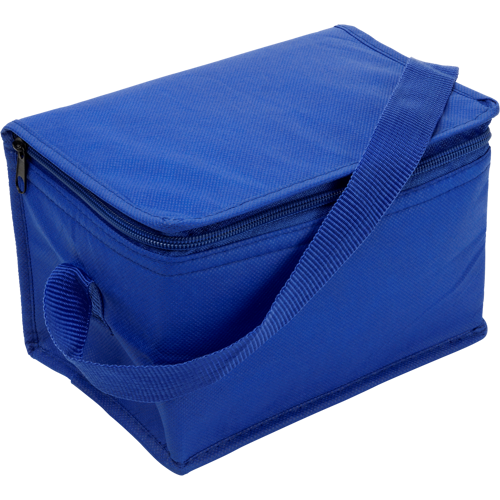 Cooler bag