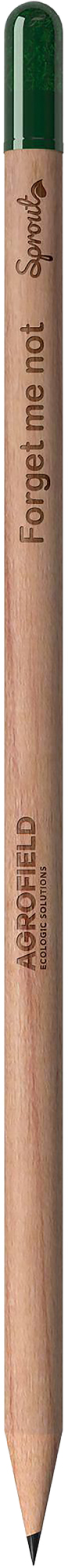 Picture of Sproutworld sharpened pencil