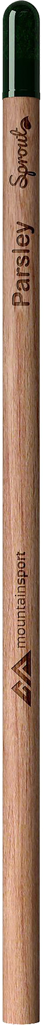 Picture of Sproutworld unsharpened pencil