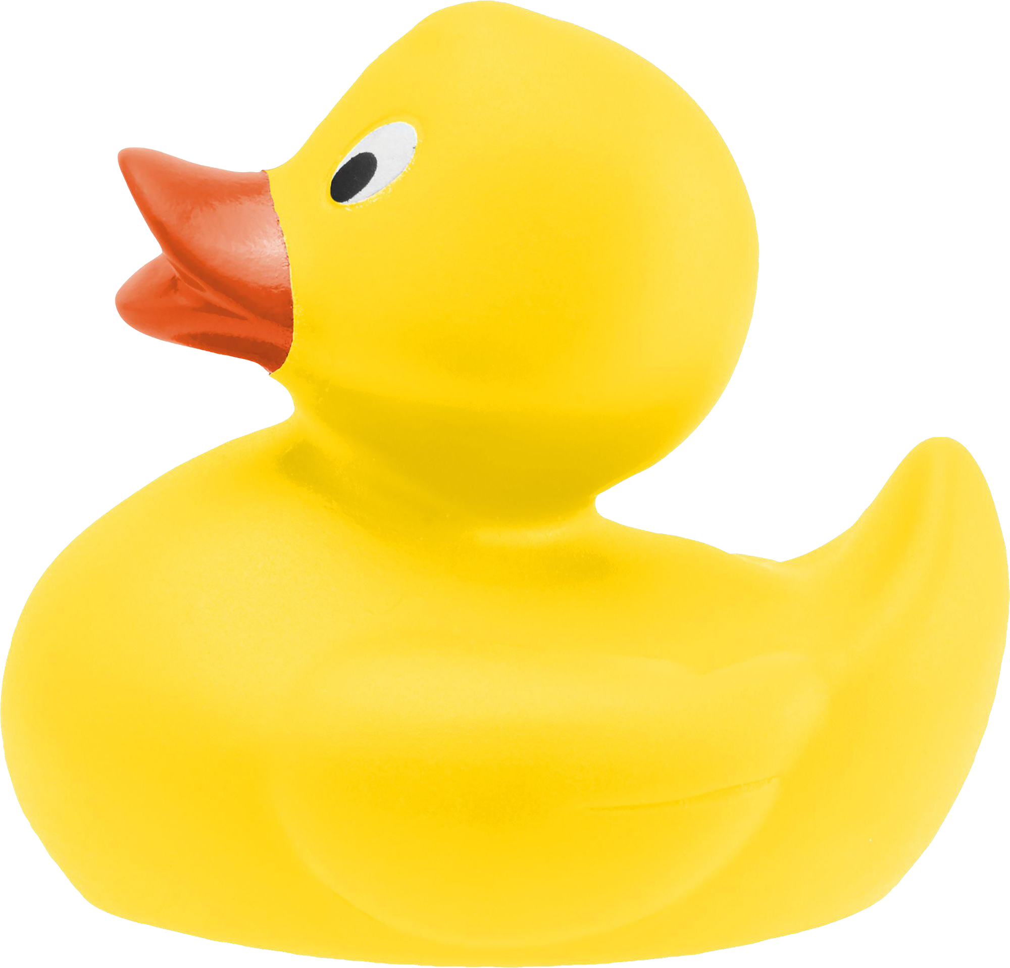 Picture of Rubber duck