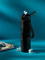 Recycled stainless steel double walled bottle (750ml)  263200_001 (Black)