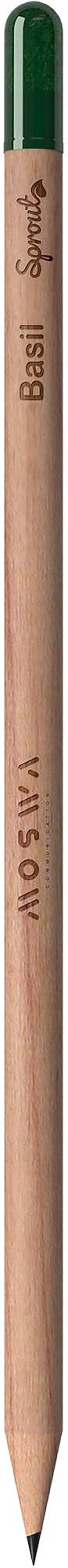 Picture of Sproutworld sharpened pencil