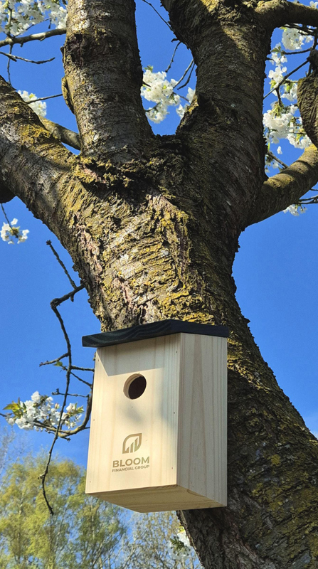 Bird house 261012_945 (Wood)