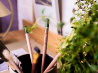 Sproutworld sharpened pencil 269367_945 (Wood)