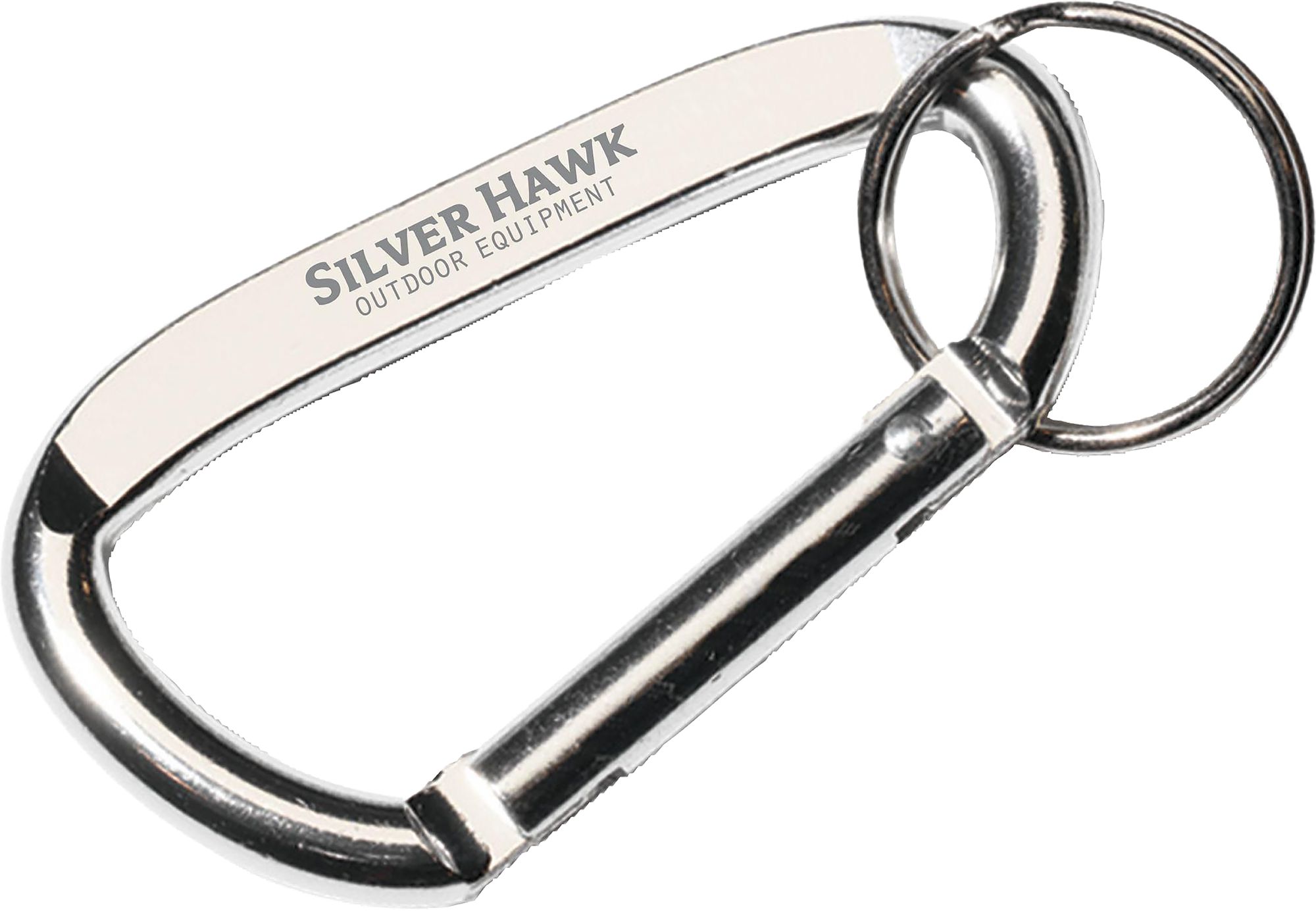 Picture of Carabiner keyring