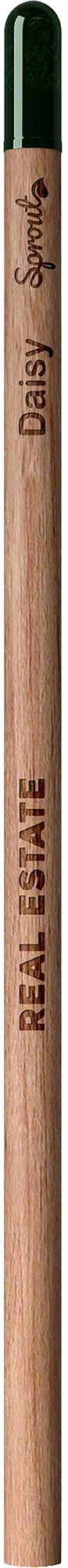 Picture of Sproutworld unsharpened pencil