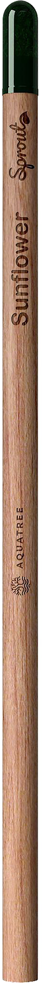 Picture of Sproutworld unsharpened pencil