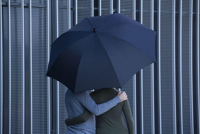 Automatic umbrella  266868_536 (Navy)