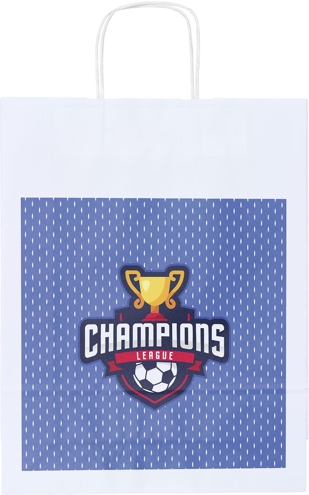 Picture of Paper bag (A3)