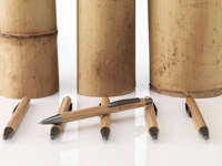 Bamboo pen 261335_945 (Wood)