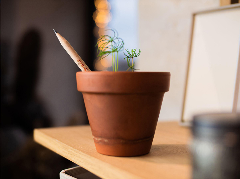 Sproutworld sharpened pencil 269367_034