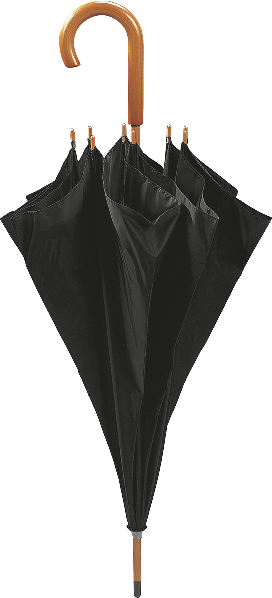 Picture of Walking umbrella 
