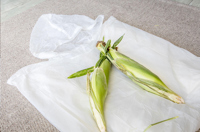 Corn poncho  269095_970 (Transparent)