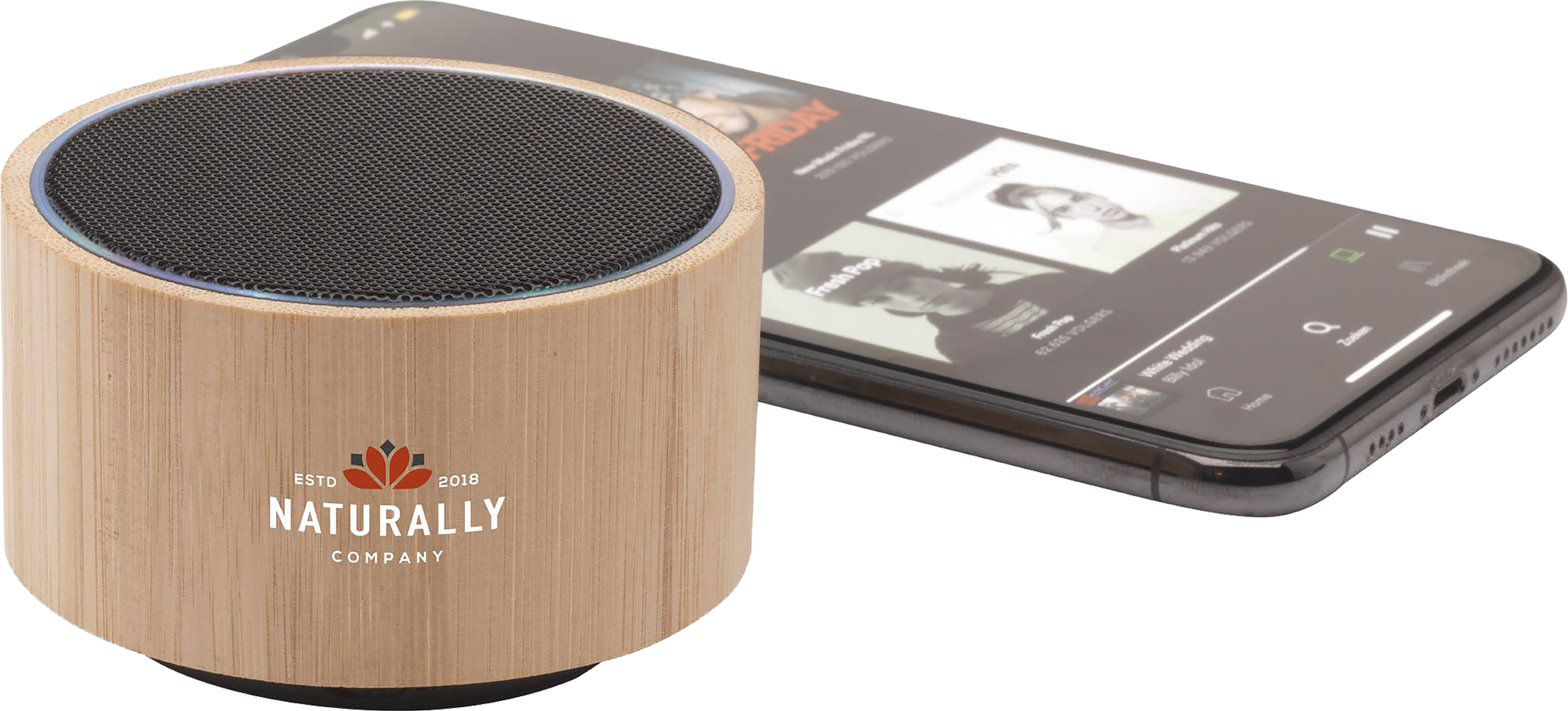 Picture of Bamboo wireless speaker