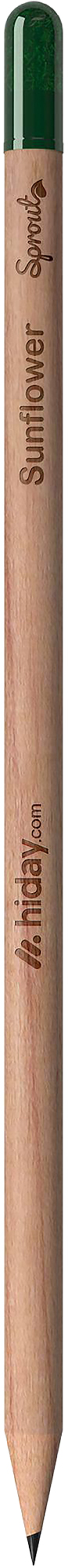 Picture of Sproutworld sharpened pencil